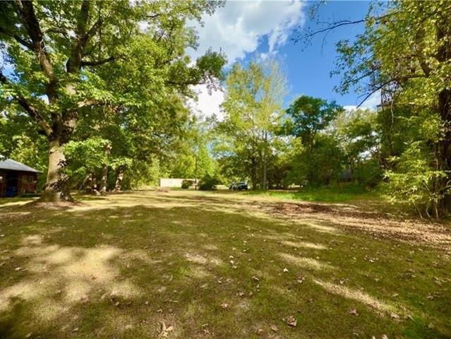 Land for sale in Olla, Louisiana