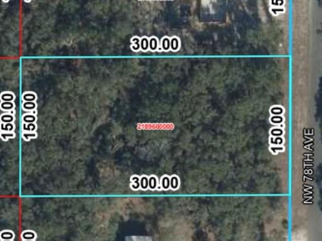 Land for sale in Trenton, Florida