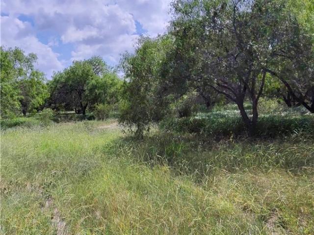 Land for sale in San Patricio, Texas