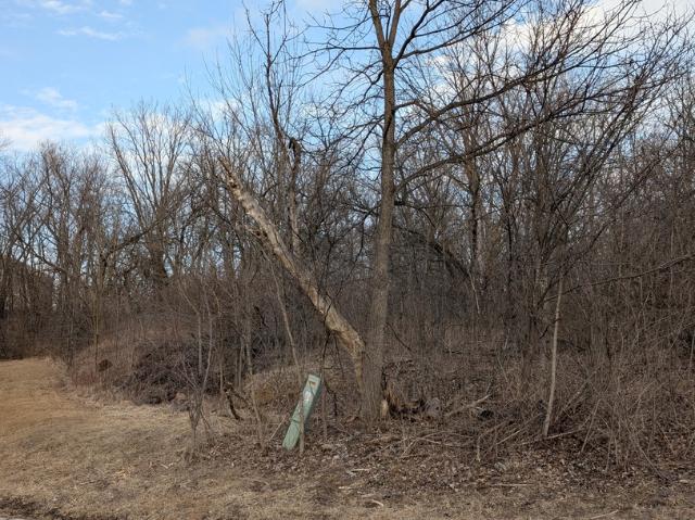 Land for sale in Dixon, Illinois