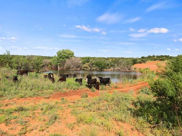 Land for sale in Dickens, Texas