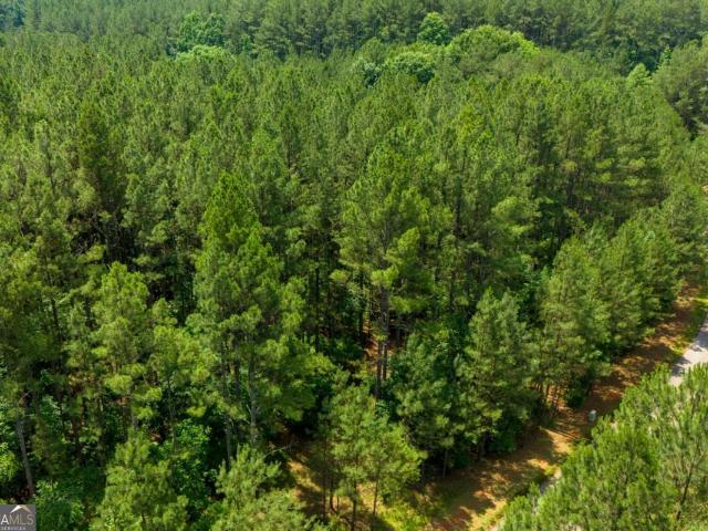 Land for sale in Bishop, Georgia