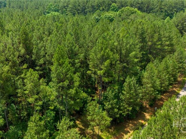 Land for sale in Bishop, Morgan County