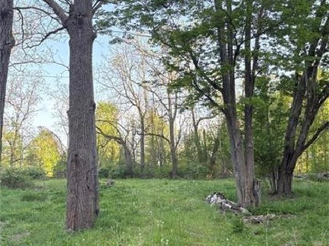 Land for sale in New York