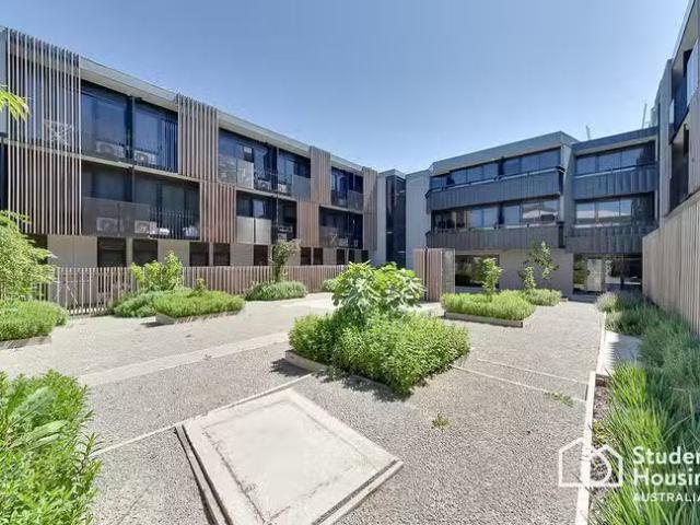 Apartment for rent in Burwood