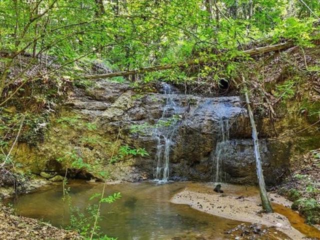 Farm for sale in Gray Court, South Carolina