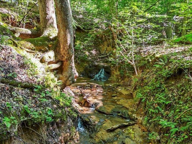 Land for sale in Gray Court, South Carolina