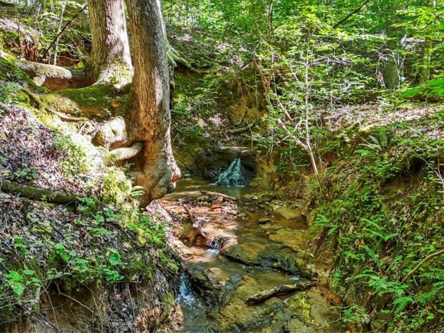 Land for sale in Gray Court, South Carolina