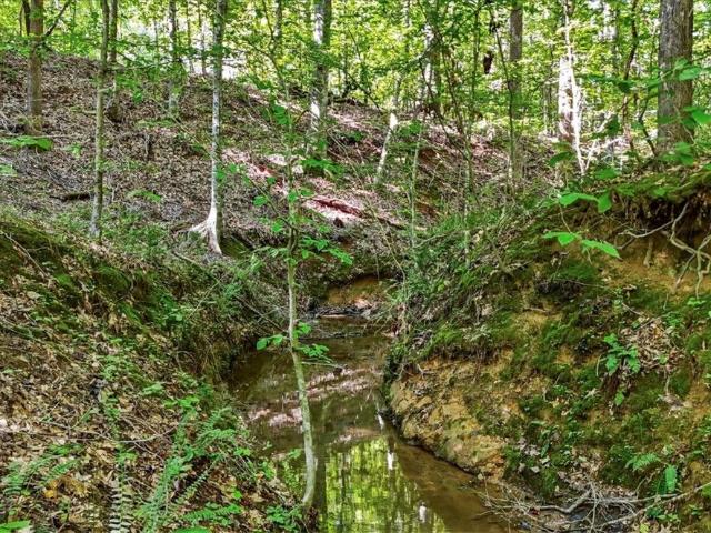 Ranch for sale in South Carolina