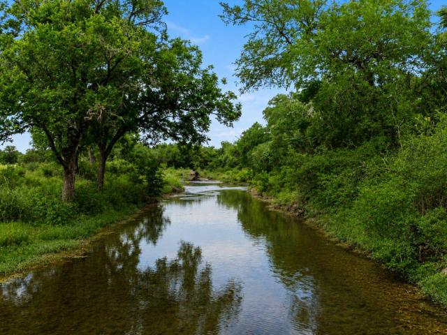 Property for rent in Hays, Texas