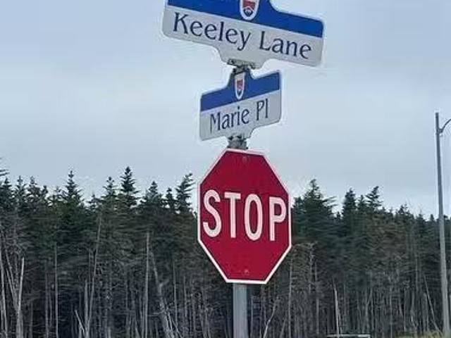 House for sale in Bauline, Newfoundland And Labrador