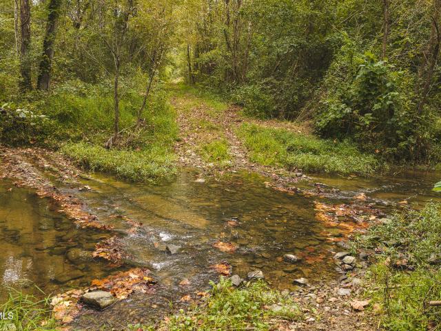 Land for sale in Van Hill, Rogersville
