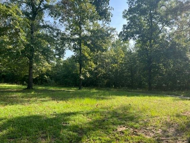 Land for sale in Barnwell, South Carolina