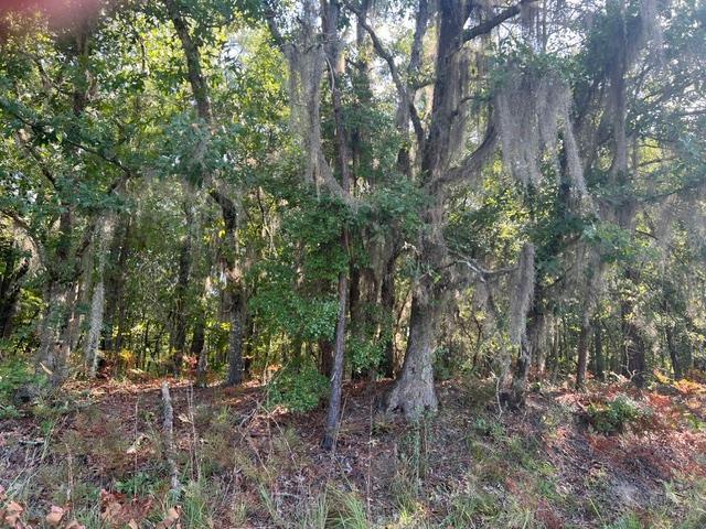 Land for sale in Barnwell, South Carolina