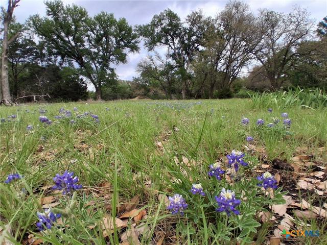 Land for sale in Salado, Bell County