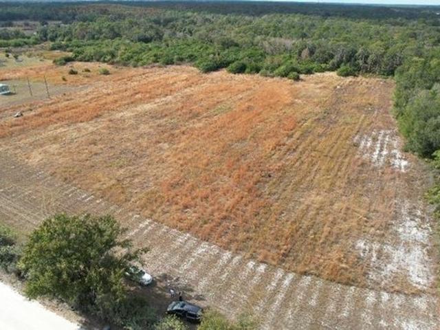 Land for sale in Wimauma, Florida