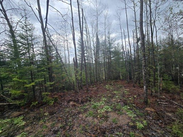 Land for sale in Wolverine, Michigan