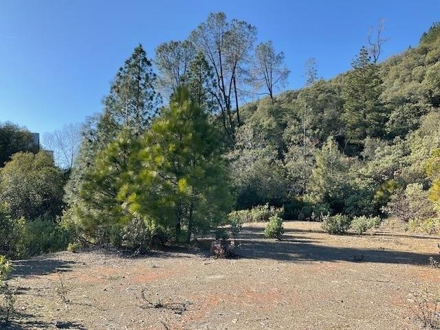 Land for sale in Murphys, California