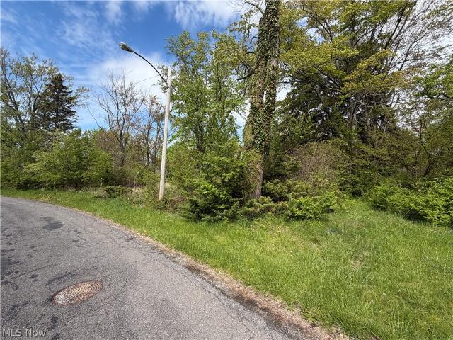 Land for sale in Madison, Ohio
