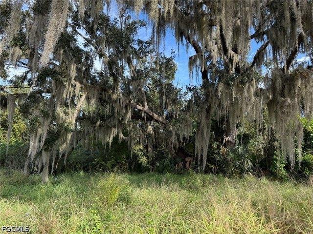 Land for sale in Wauchula, Florida