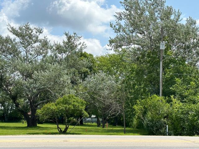 Land for sale in Homer Glen, Illinois