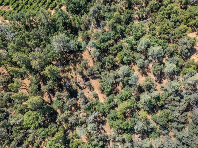 Land for sale in Apple Valley Estates, Sonora