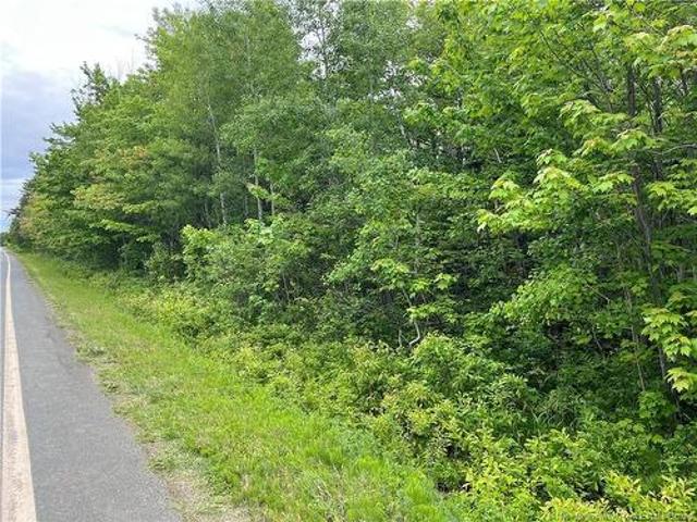 Land for sale in Pokeshaw, New Brunswick