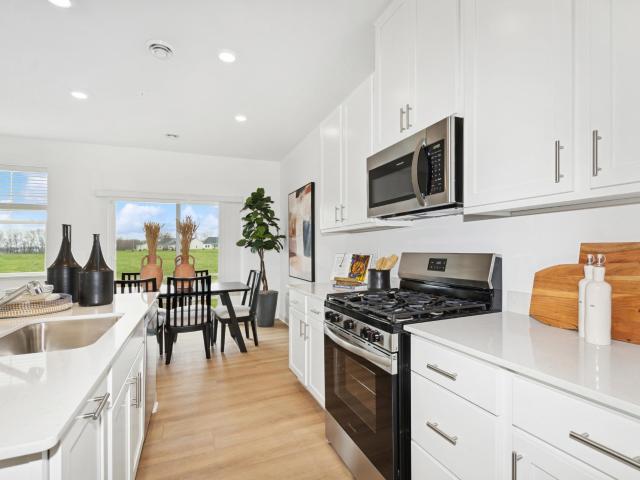 House for sale in Rosemount, Minnesota