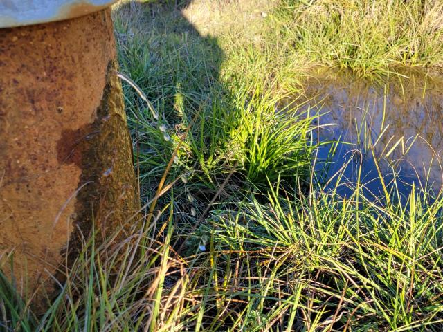 Land for sale in Shasta, California