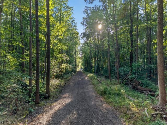 Land for sale in Novelty, Ohio