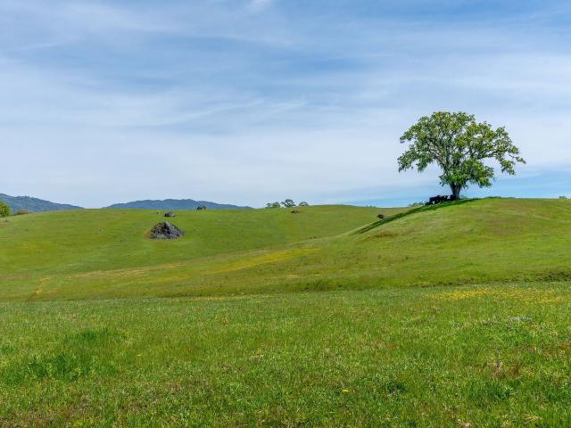 House for sale in Hopland, California
