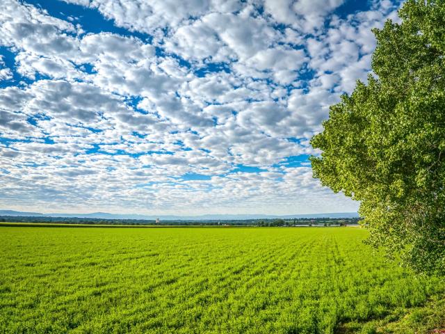 Land for sale in Delta, Colorado