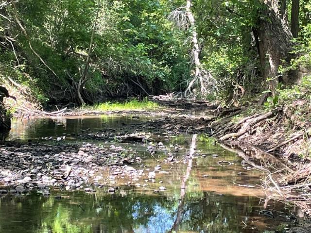 Land for sale in Smithville, Texas