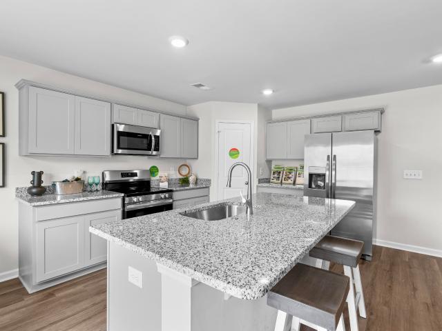 House for sale in Pelion, South Carolina
