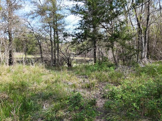 Land for sale in Milam, Texas