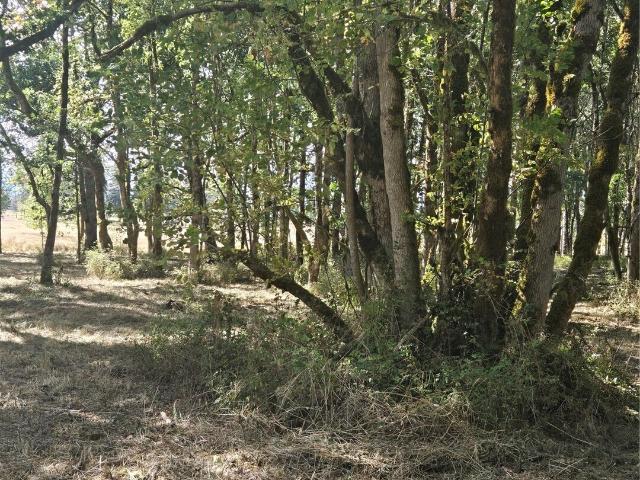 Land for sale in Toledo, Lewis County