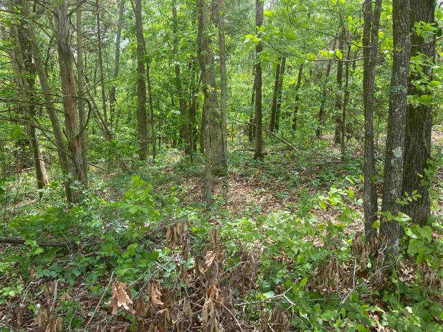 Land for sale in Ark