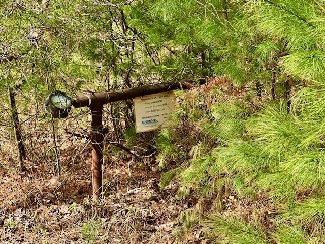 Land for sale in Tennessee