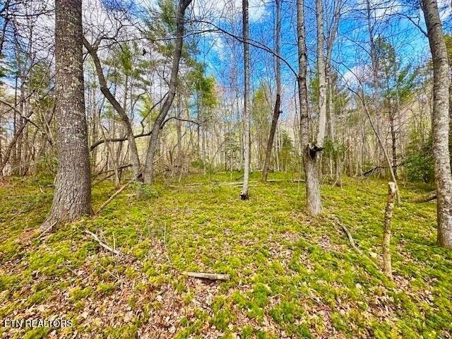 Farm for sale in Tennessee