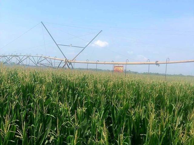 Farm for sale in Naboomspruit, Limpopo