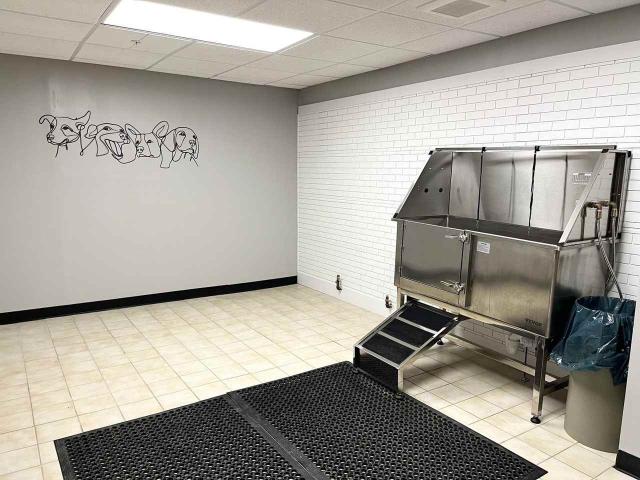 Apartment for rent in South Burlington, Vermont