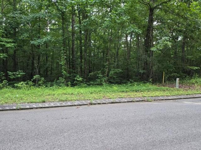 Land for sale in Tennessee