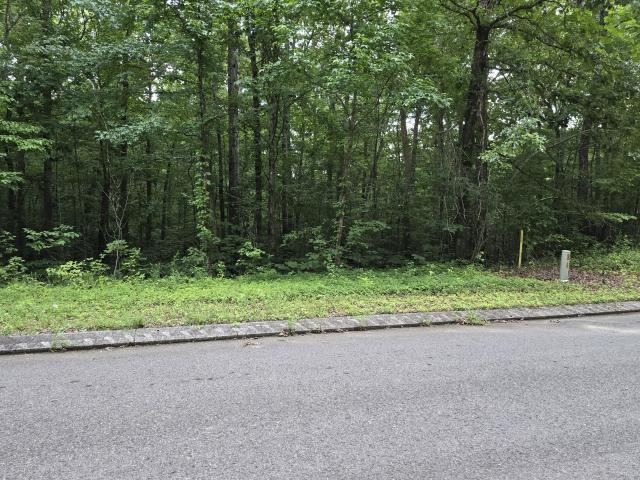 Land for sale in Dunlap, East Tennessee