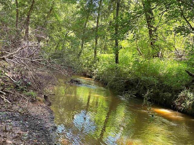Land for sale in Gray Court, South Carolina