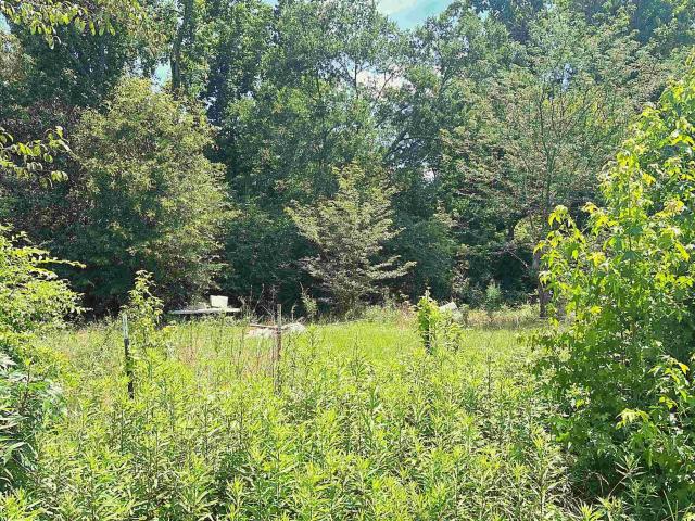 Land for sale in Gray Court, South Carolina