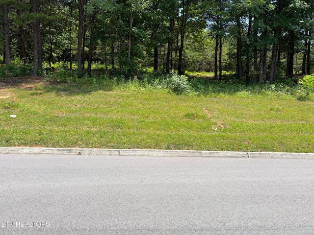Land for sale in Tennessee