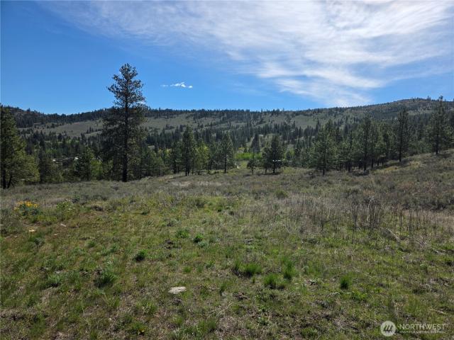 Land for sale in Tonasket, Washington