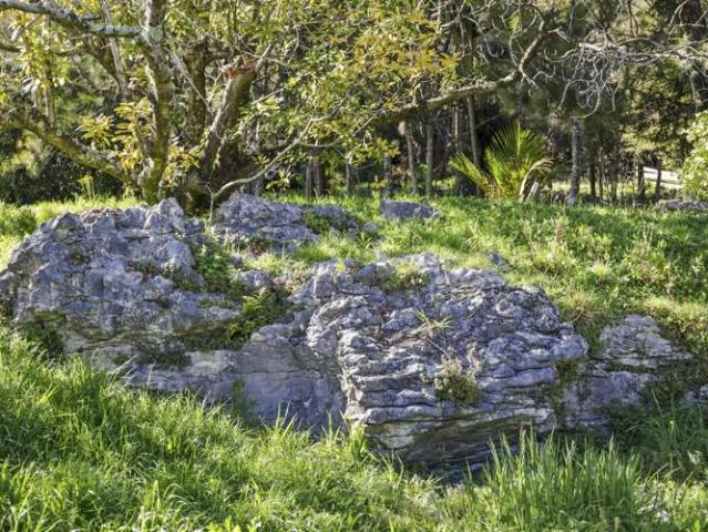 Land for sale in Nelson City, Cable Bay