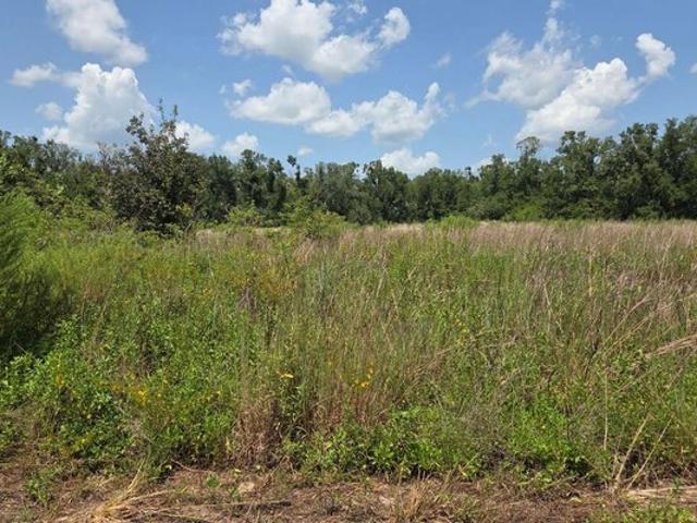 Land for sale in Live Oak, Suwannee County