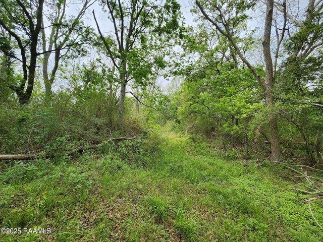 Farm for sale in Kaplan, Louisiana